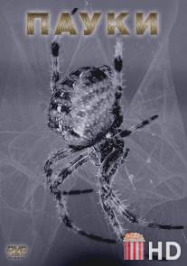 Пауки / Spiders
