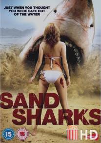 Песчаные акулы / Sand Sharks