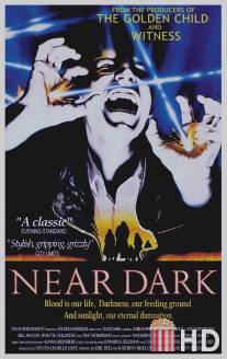 Почти стемнело / Near Dark