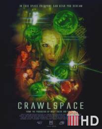 Подвал / Crawlspace