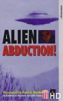 Похищенные пришельцами / Alien Abduction: Incident in Lake County
