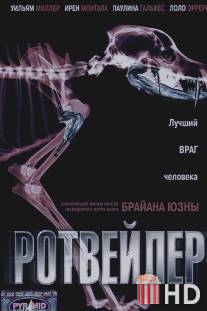 Ротвейлер / Rottweiler