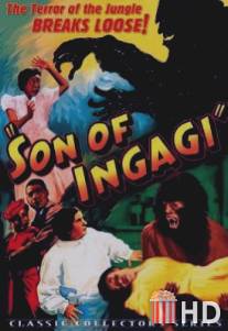 Son of Ingagi