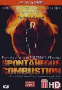 Спонтанное возгорание / Spontaneous Combustion