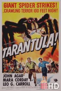 Тарантул / Tarantula