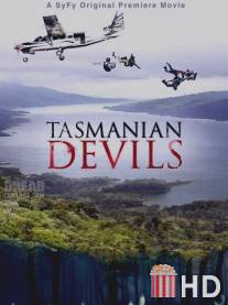 Тасманские дьяволы / Tasmanian Devils
