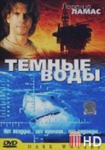 Темные воды / Dark Waters
