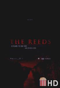 Тростник / Reeds, The