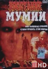 Восстание мумии / Dawn of the Mummy