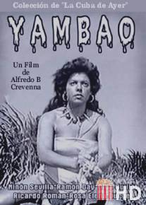 Ямбао / Yambao