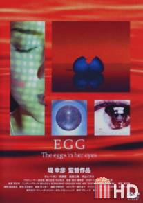 Яйцо / EGG.
