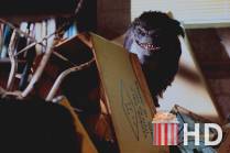 Зубастики 2: Основное блюдо / Critters 2